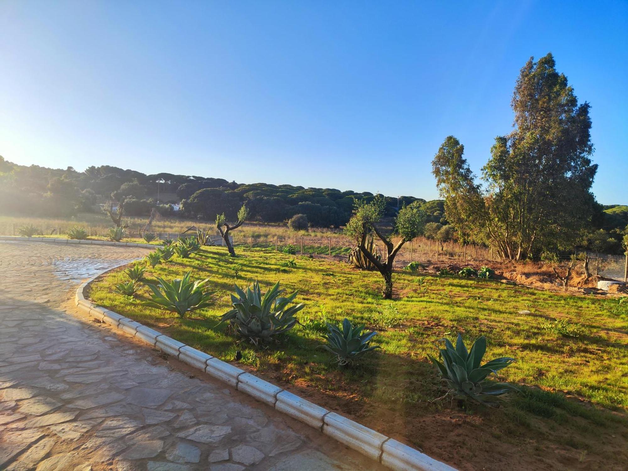 Hacienda La Yerbabuena Villa Cádiz Eksteriør bilde