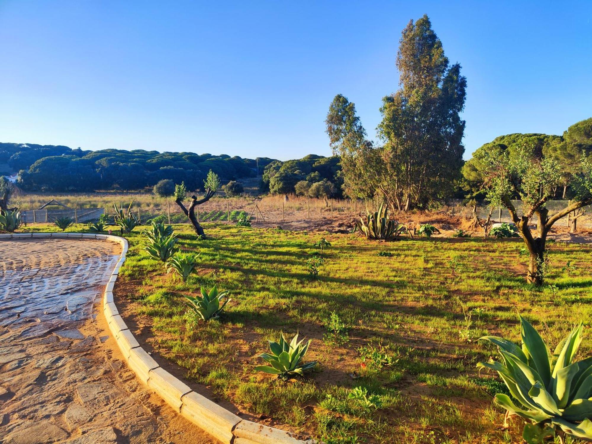 Hacienda La Yerbabuena Villa Cádiz Eksteriør bilde