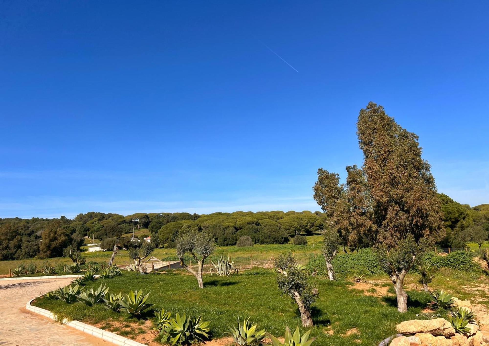 Hacienda La Yerbabuena Villa Cádiz Eksteriør bilde